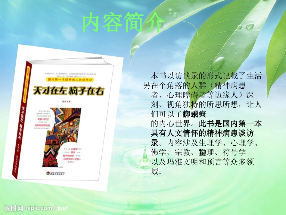 好书推荐天才在左疯子在右_第3页