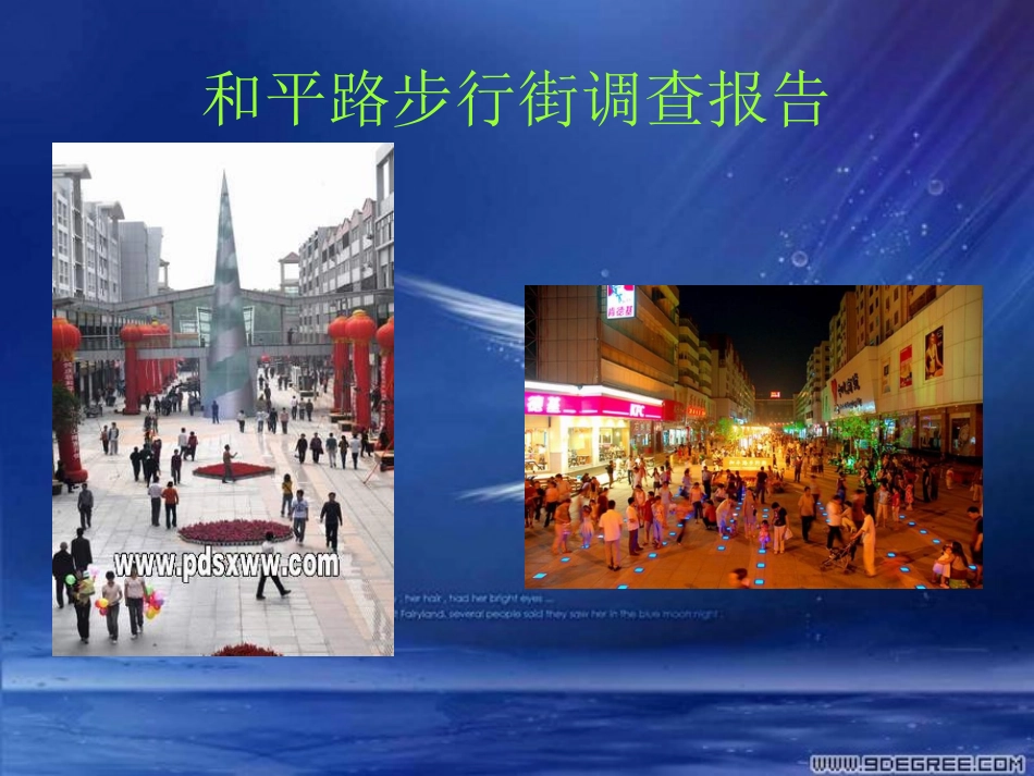 和平路步行街调查报告_第1页