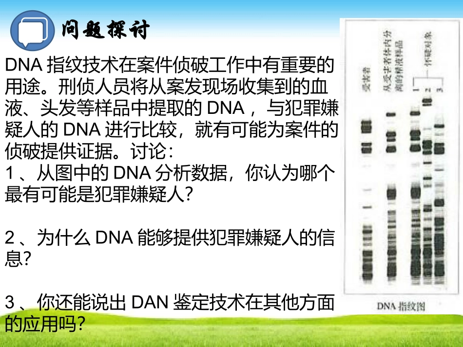 核酸是遗传信息的携带者_第2页