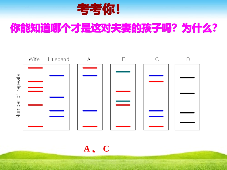 核酸是遗传信息的携带者_第3页