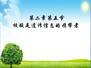 核酸是遗传信息的携带者