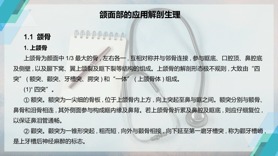 颌面部的应用解剖生理_第2页