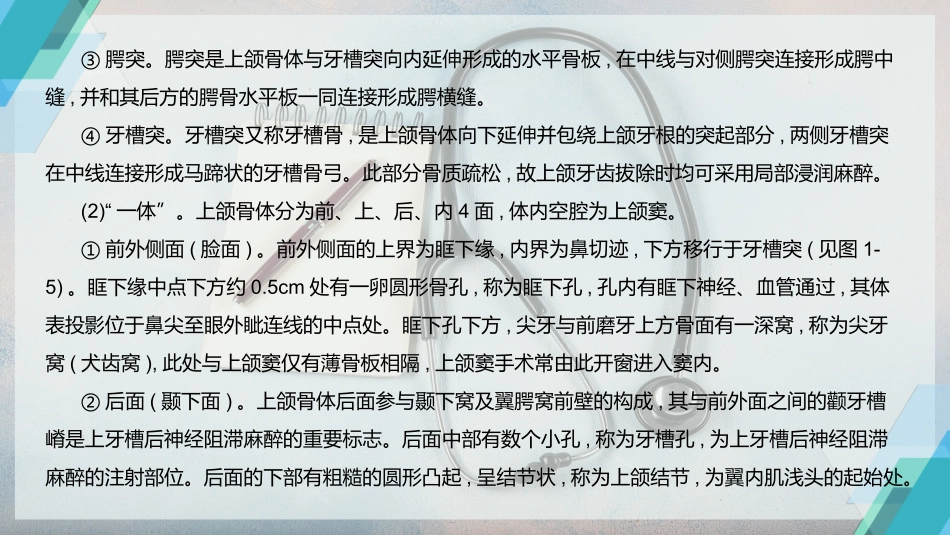颌面部的应用解剖生理_第3页