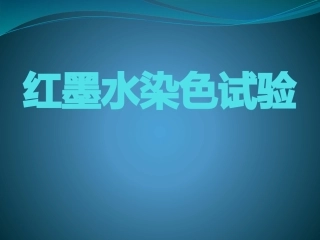 红墨水染色试验