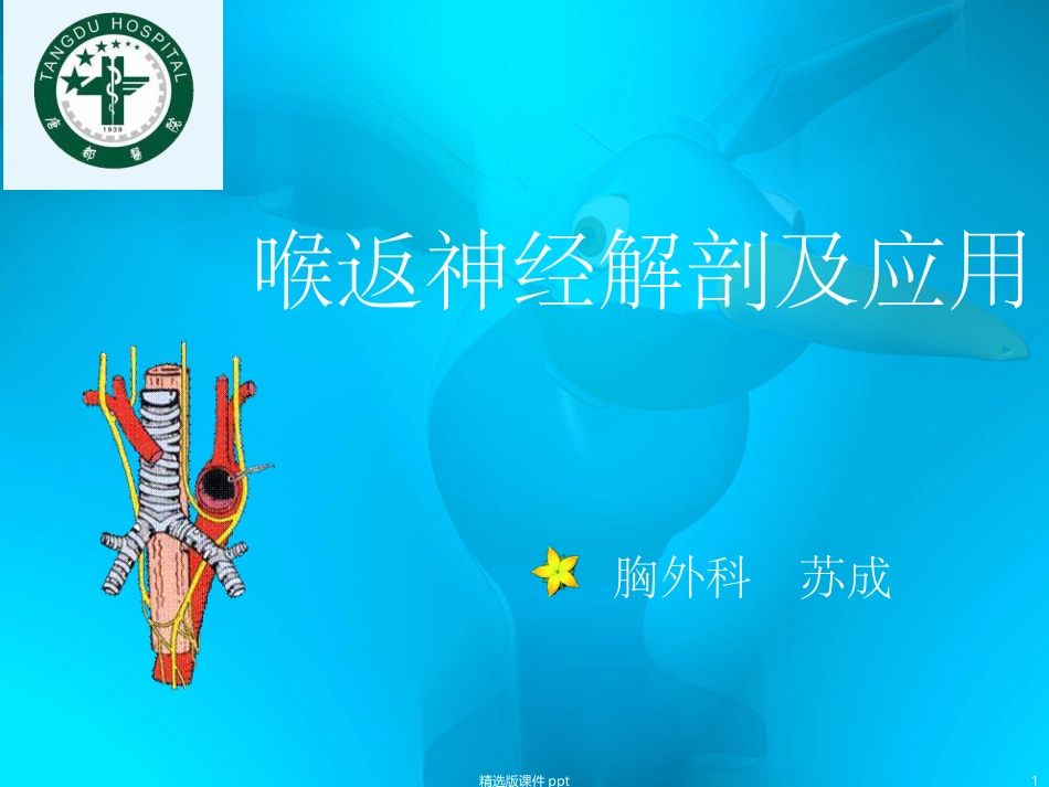 喉返神经解剖_第1页