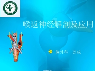 喉返神经解剖