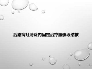 后路病灶清除内固定治疗腰骶段结核