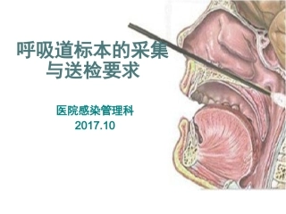 呼吸道标本的采集和送检要求