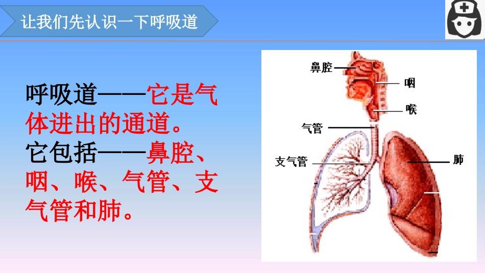 呼吸道感染病预防知识课件艾尔肯·喀迪尔_第3页