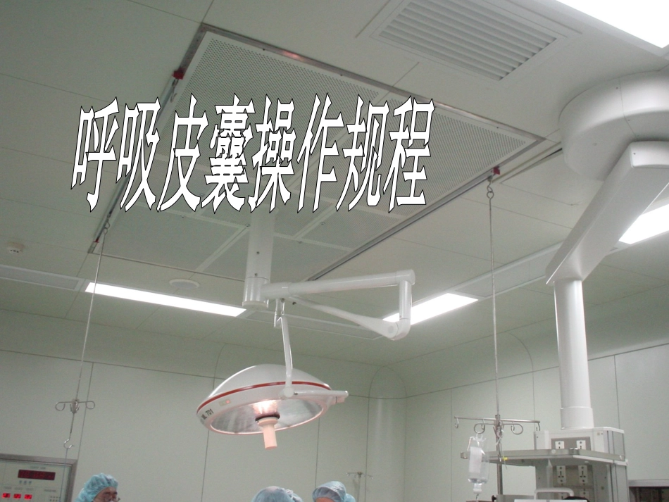 呼吸皮囊操作规程_第1页