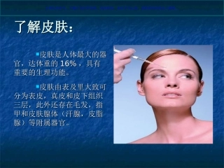 护肤品的选择课件