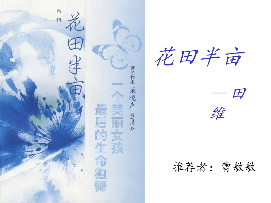 花田半亩读后感_第1页