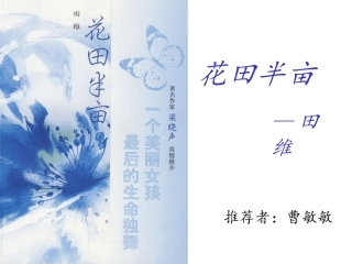 花田半亩读后感