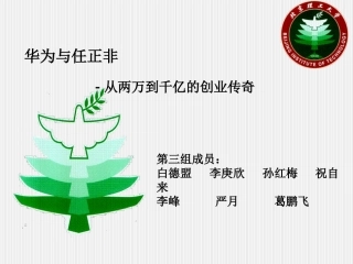 华为的发展及总结