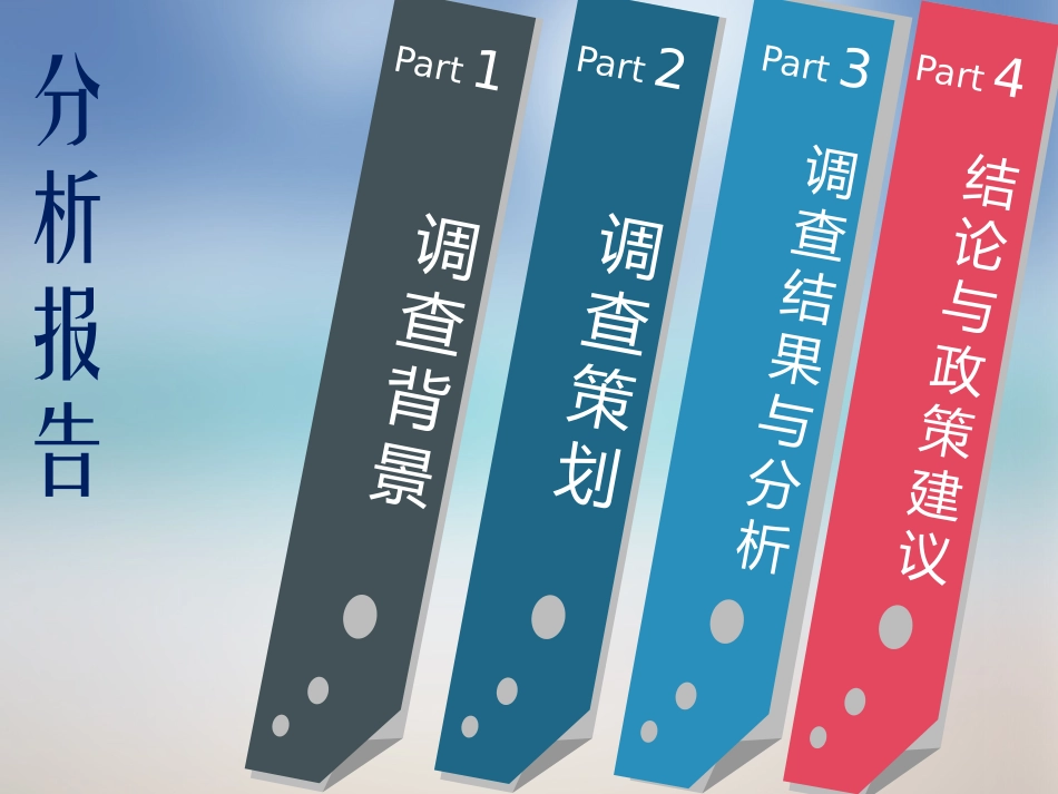 淮北市老年人养老状况分析报告_第2页