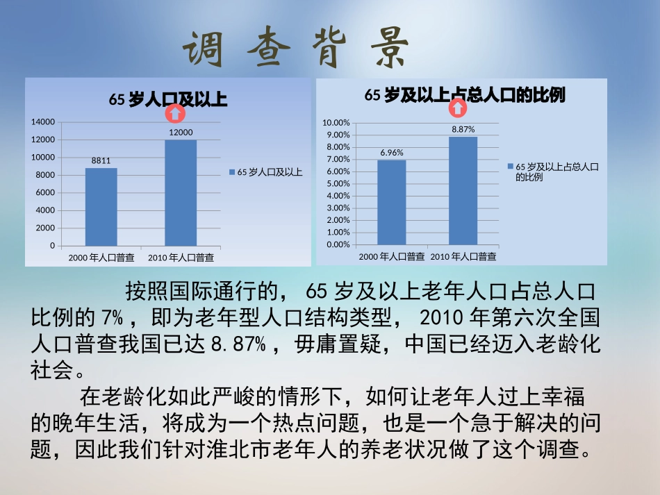 淮北市老年人养老状况分析报告_第3页