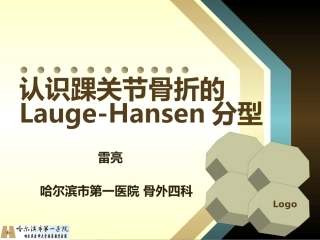 踝关节LH骨折分型