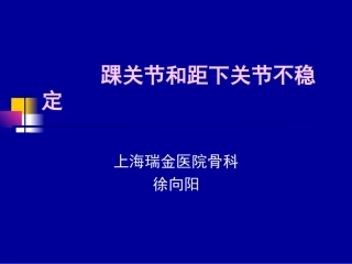 踝关节和距下关节不稳定