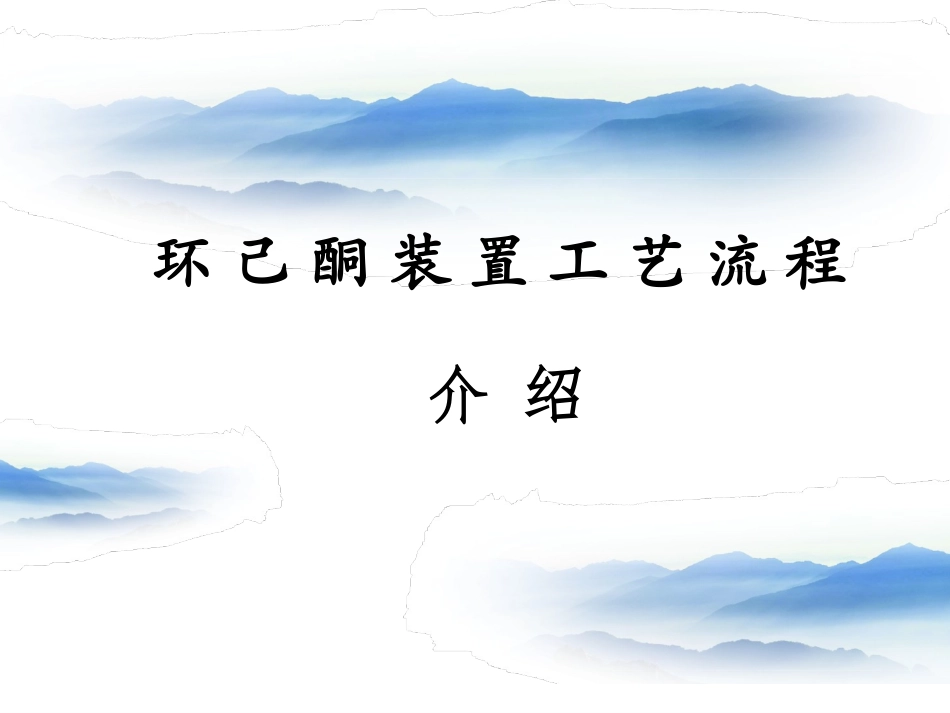 环己酮装置工艺流程资料_第1页