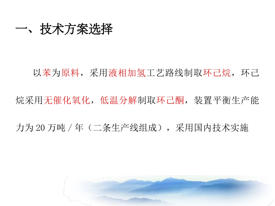 环己酮装置工艺流程资料_第2页