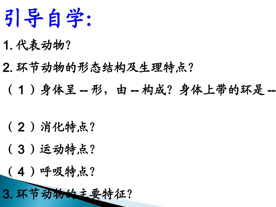 环节动物课件_第2页