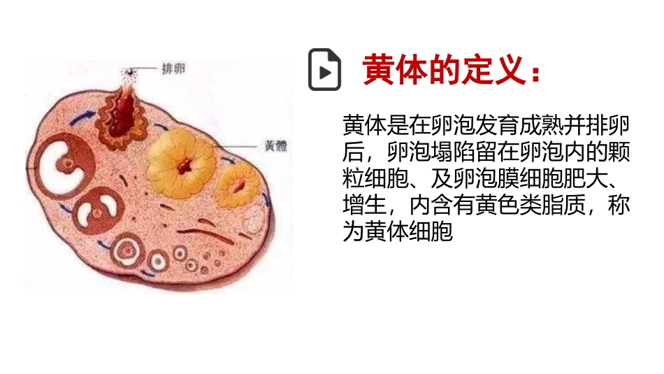 黄体破裂超声_第3页