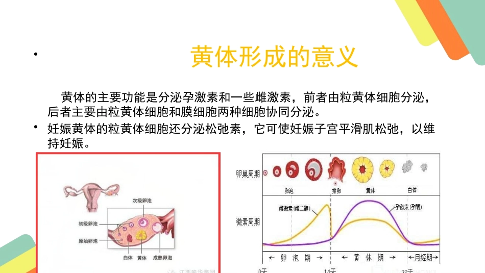 黄体破裂出血护理查房_第3页