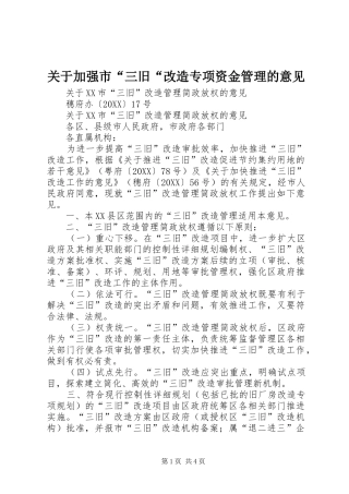 关于加强市三旧改造专项资金管理的意见