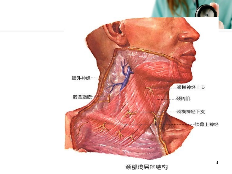 肌筋膜炎参考课件_第3页
