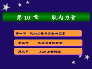 肌肉力量测试和训练