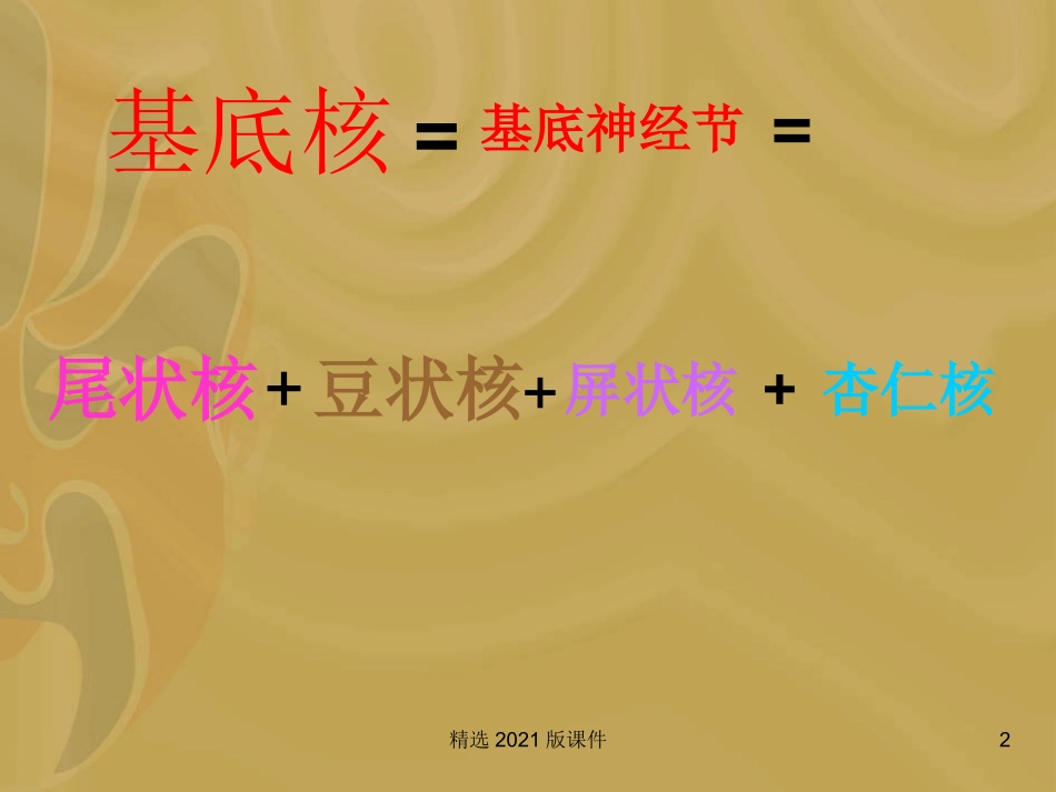基底节区解剖位置关系图_第2页
