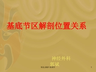 基底节区解剖位置关系图