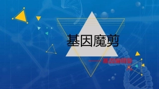 基因编辑婴儿