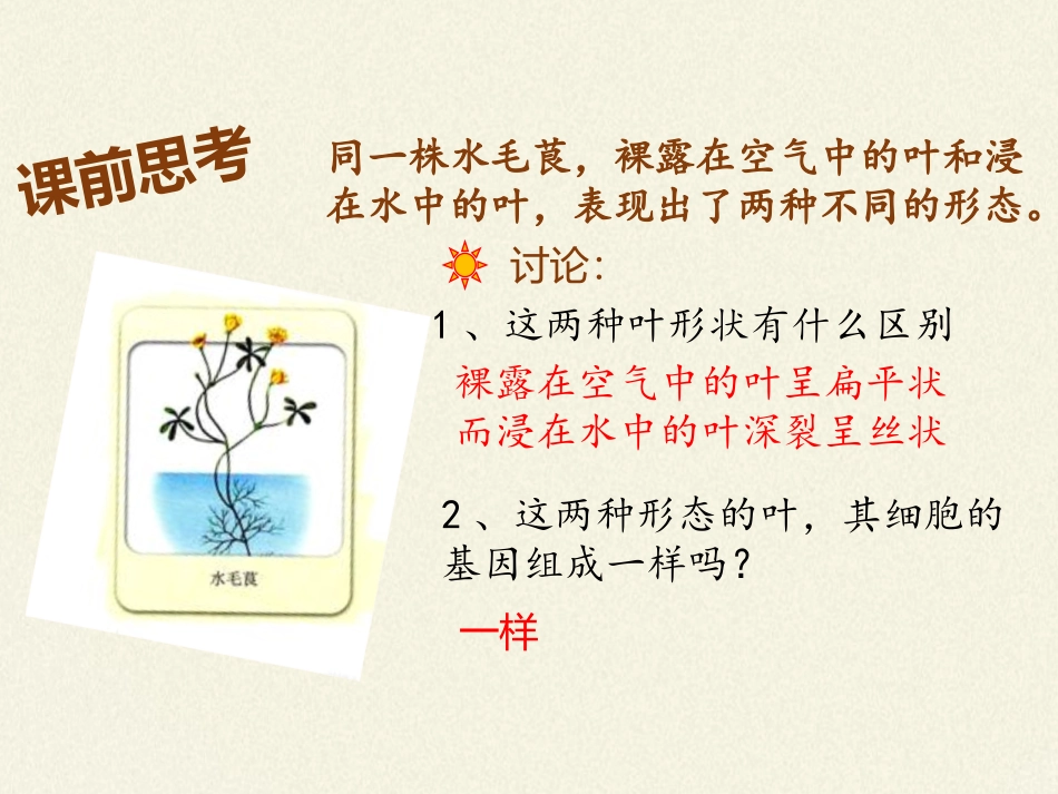基因表达与性状的关系_第2页
