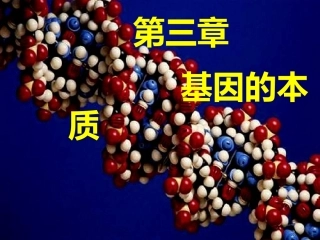 基因的本质教材分析