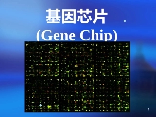 基因芯片讲义