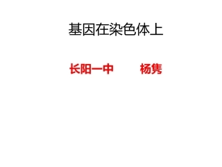 基因在染色体上