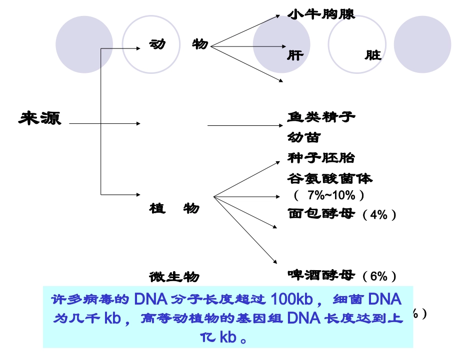 基因组DNA的提取与分离_第3页