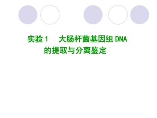 基因组DNA的提取与分离