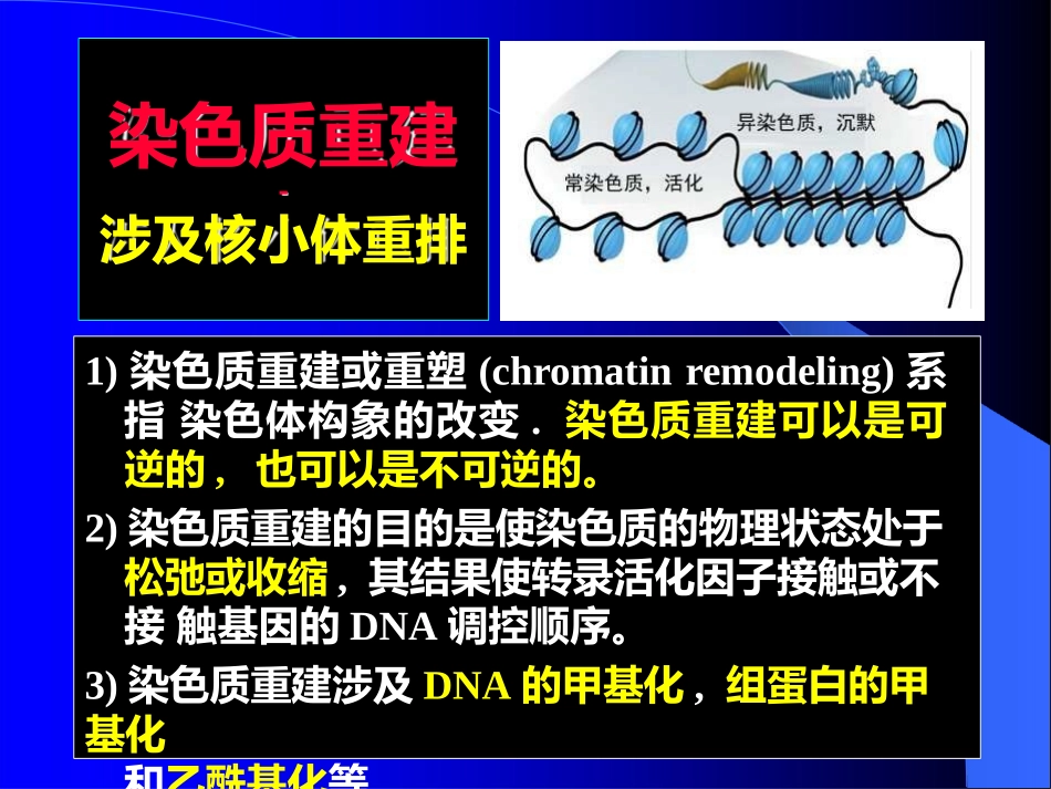 基因组表观遗传组蛋白甲基化_第3页
