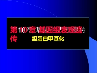 基因组表观遗传组蛋白甲基化