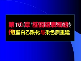 基因组表观遗传组蛋白乙酰化