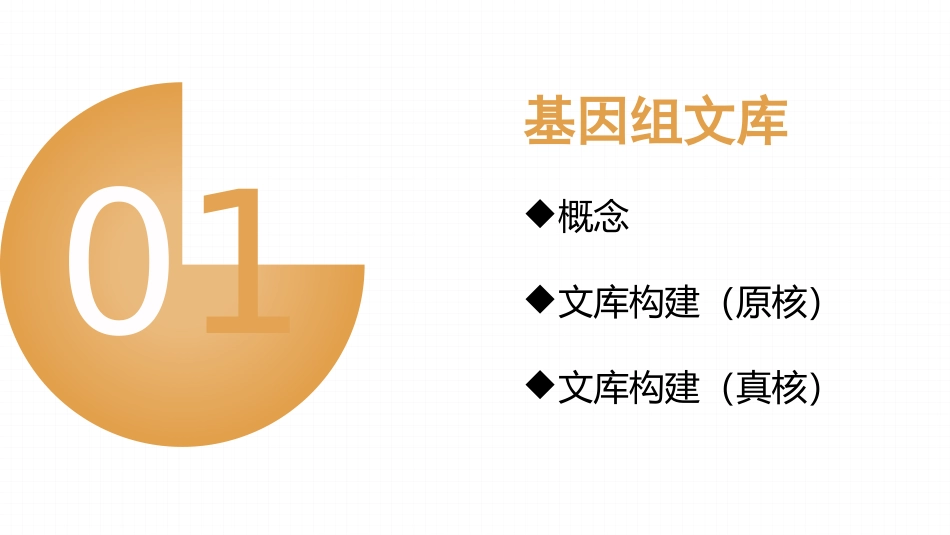 基因组文库和cDNA文库的比较_第3页