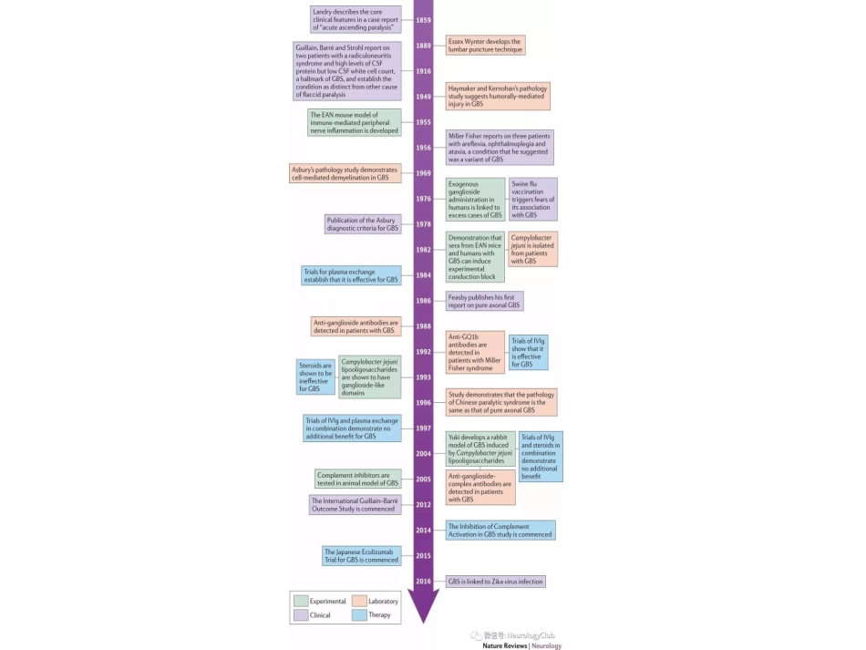吉兰巴雷综合征_第3页
