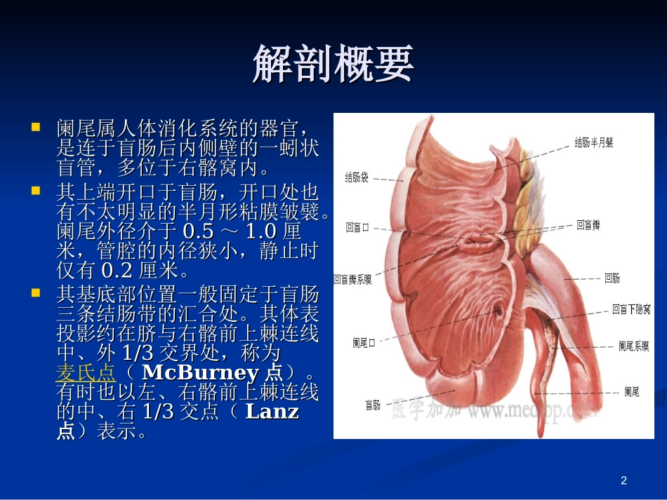 急性化脓性阑尾炎_第2页