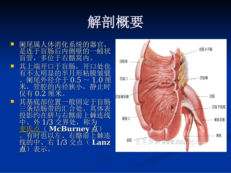 急性化脓性阑尾炎讲义_第2页