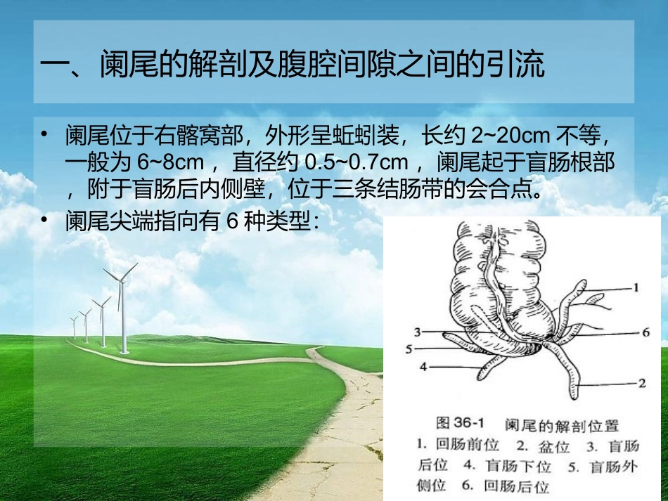 急性阑尾炎的CT诊疗_第3页