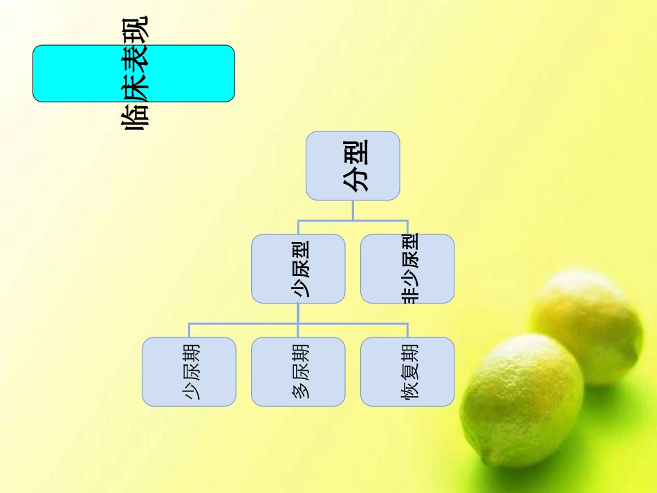 急性肾衰竭血液透析医疗护理查房讲义_第3页