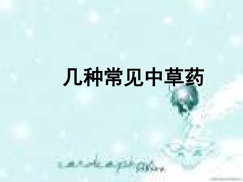 几种常见中草药_第1页