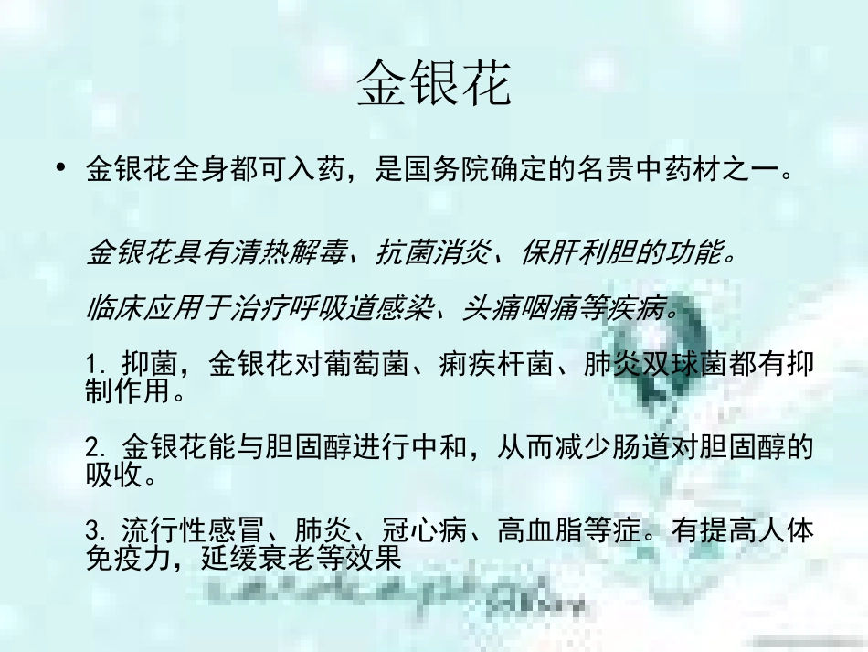 几种常见中草药_第2页